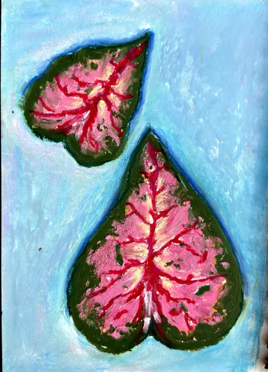 Two caladium leaves, oil pastel, older work